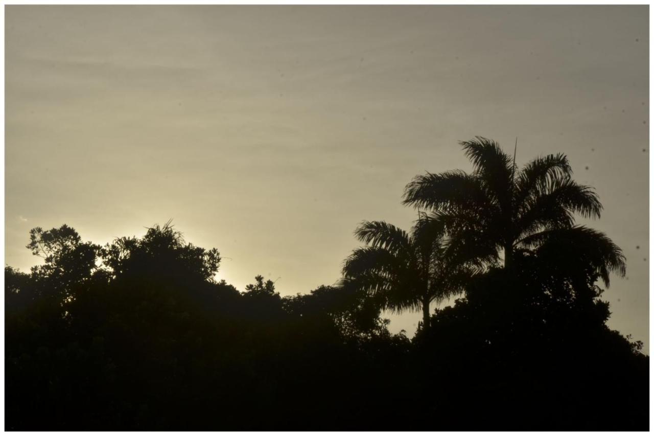 Pousada Hostel Macondo Itamambuca ウバトゥバ エクステリア 写真